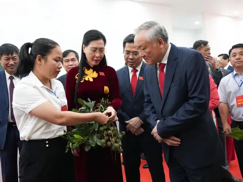 Dấu ấn Quảng Ngãi qua không gian trưng bày thành tựu và sản phẩm đặc sắc