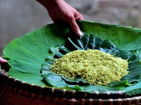 Hương cốm gọi Thu về