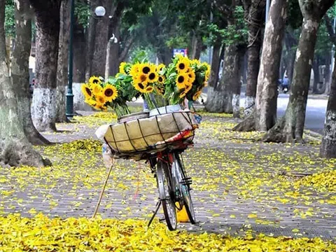 Chùm thơ Phương Uyên trong thu