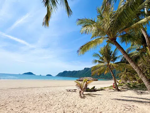 Côn Đảo mùa xuân – nơi biển biếc hóa thành lời thề trước mộ cô Sáu