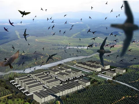 Làm giàu không khó với mô hình nuôi chim yến trong nhà