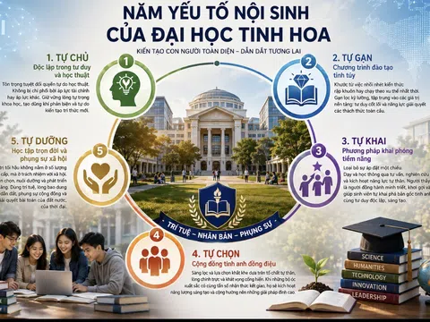 Năm yếu tố nội sinh của đại học tinh hoa