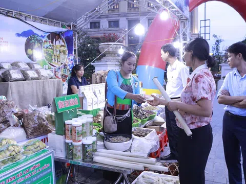 Phú Thọ: Nông sản Đất Tổ – Bài toán kinh tế từ không gian trưng bày Tam Đảo