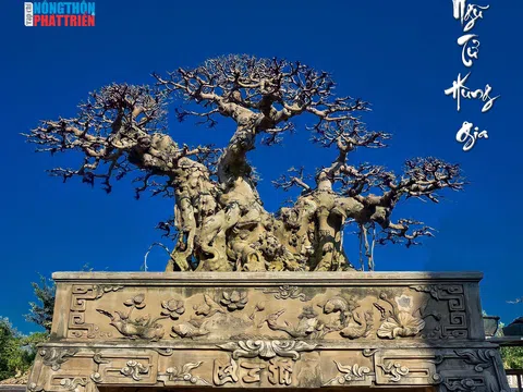 Vẻ đẹp của tác phẩm Ngũ Tử Hùng Gia dưới góc nhìn của NSNA Nguyễn Gia Khánh