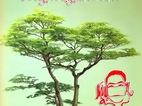 Tư duy ngược...!?