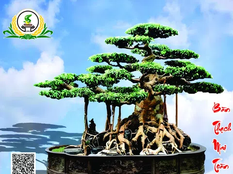 Tác phẩm Bàn Thạch Mai Toàn của nghệ nhân Nguyễn Trọng Thành