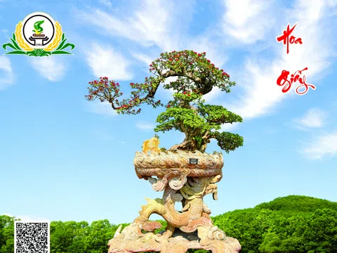 Tác phẩm Hoa Giấy của nghệ nhân Hoàng Lịch Thiệp