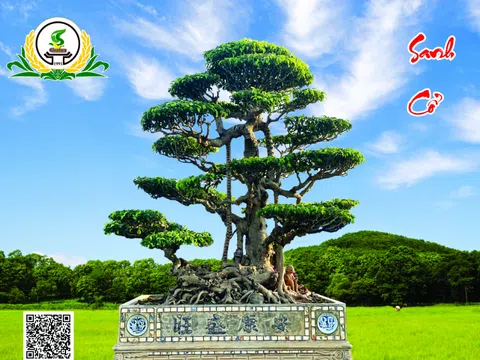 Tác phẩm Sanh Cổ của nghệ nhân Đặng Kim Nhưng