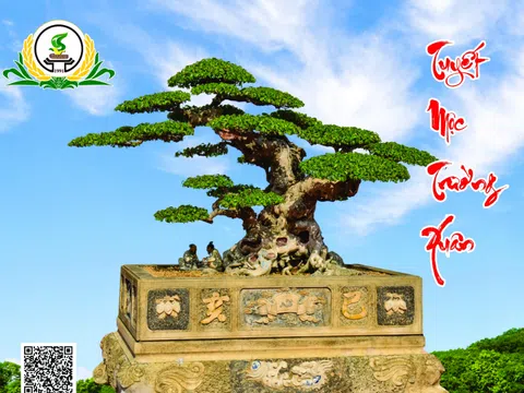 Tác phẩm Thuyết Mộc Trường Xuân của nghệ nhân Phạm Thế Hùng