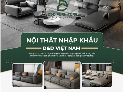 Sự phát triển của thương hiệu nội thất sofa D&D: Chiến lược tiếp thị và quảng bá hiệu quả