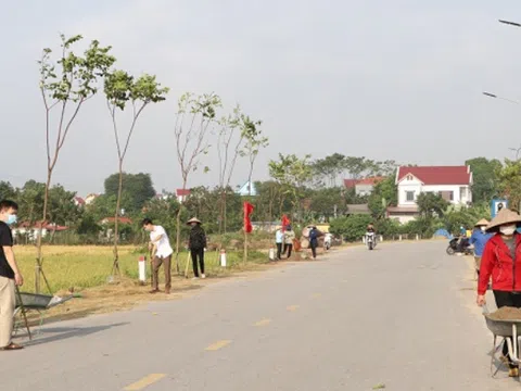 Hưởng ứng phong trào “Tết trồng cây” góp phần xây dựng nông thôn mới.