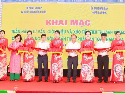 Khai mạc Tuần hàng tư vấn, giới thiệu sản phẩm OCOP thành phố Hà Nội năm 2024