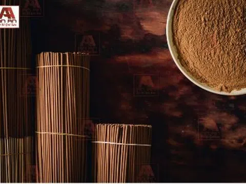 Gia đình bạn có đang sử dụng nhang hương an toàn ?