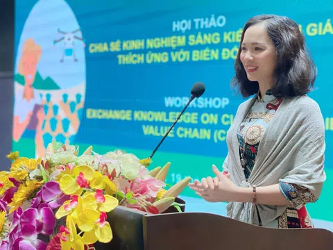 Viên Hoàng Gia "tung ra" thị trường gói dịch vụ truyền thông doanh nghiệp giá rẻ