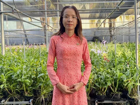 Bằng thành tích đáng nể, kỹ sư Liêu Thị Kim Phượng đạt danh hiệu Nông dân Việt Nam xuất sắc năm 2023