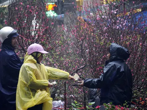 Tết Nguyên đán Canh Tý 2020 có thể đón rét đậm, rét hại