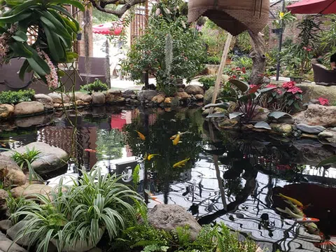 Bạn thích uống Cafe ở không gian như thế nào?