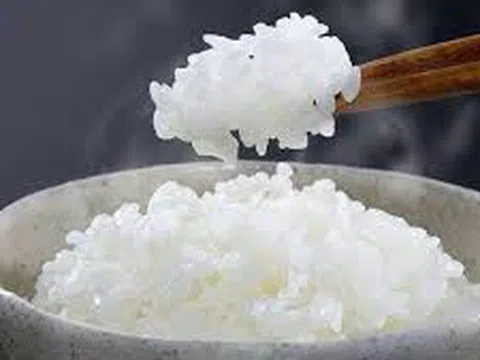 Đặc sản gạo séng cù Điện Biên