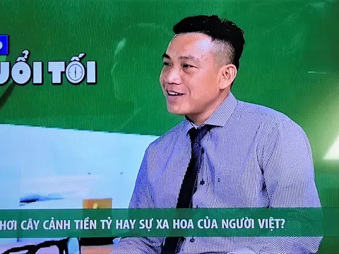 Nhà báo Vương Xuân Nguyên: "Giá cây cảnh nếu đẩy lên quá ảo sẽ lợi bất cập hại"