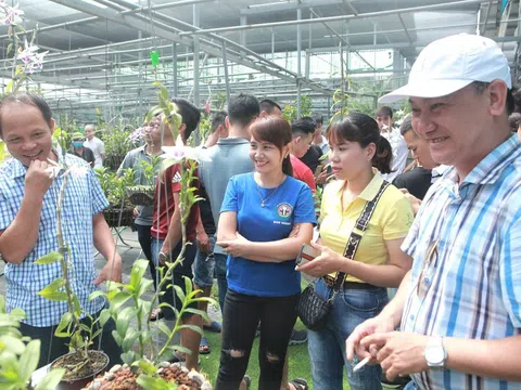 Hoài Đức – Hà Nội: Làng hoa lan Đông La vươn xa nhờ thương hiệu