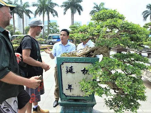 Nhà báo Vương Xuân Nguyên: Cây cảnh nghệ thuật Việt Nam cần chủ động hội nhập mạnh mẽ hơn nữa