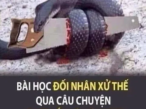 CUỘC CHIẾN GIỮA CON RẮN VỚI CÁI CƯA...?