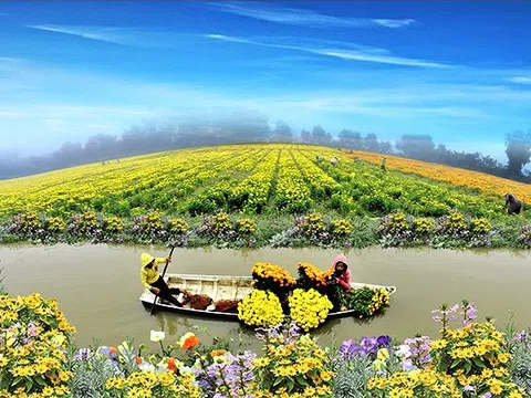 Cuối năm ngành Nông nghiệp tập trung nhiệm vụ kép: Vừa khôi phục sản xuất sau thiên tai, kết nối giao thương tìm đầu ra cho nông sản, vừa phòng chống dịch hiệu quả