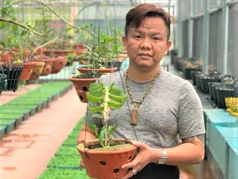 Hà Nội: Chàng trai Nguyễn Đăng Ghin với câu chuyện khởi nghiệp từ hoa lan