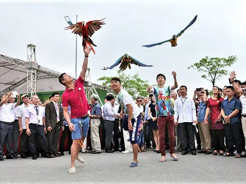 Hiểu thế nào cho đúng về thú chơi chim cảnh?