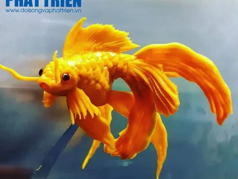 Điêu khắc hoa quả là một bộ môn nghệ thuật độc đáo