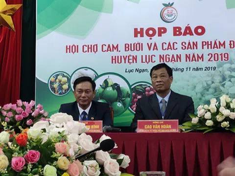 Lục Ngạn - Bắc Giang: Hội chợ cam, bưởi và các sản phẩm đặc trưng
