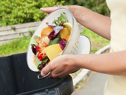 Báo động thực trạng lãng phí thực phẩm toàn cầu