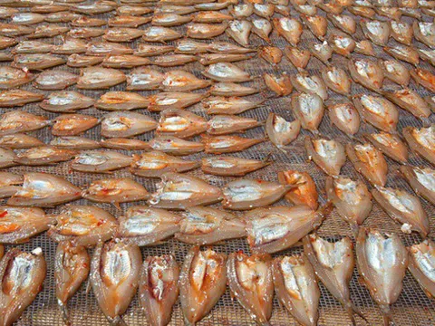 Phát triển đặc sản cá tép dầu sông Đà