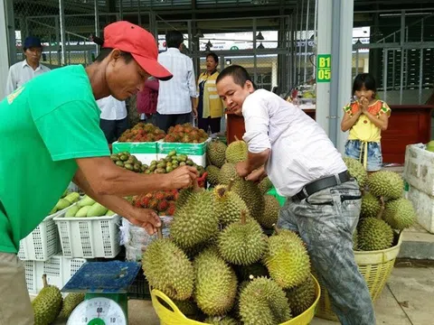 Đưa nông sản mũi nhọn Việt Nam ra thế giới